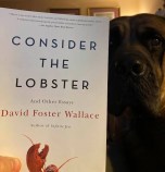 98154667_4067775853263086_1945768859675918336_n